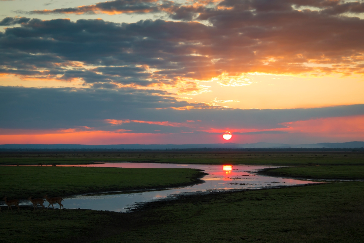 Sunset-over-Gorongosa-National-Park-Mozambique-88956135 Sunset over Gorongosa National Park