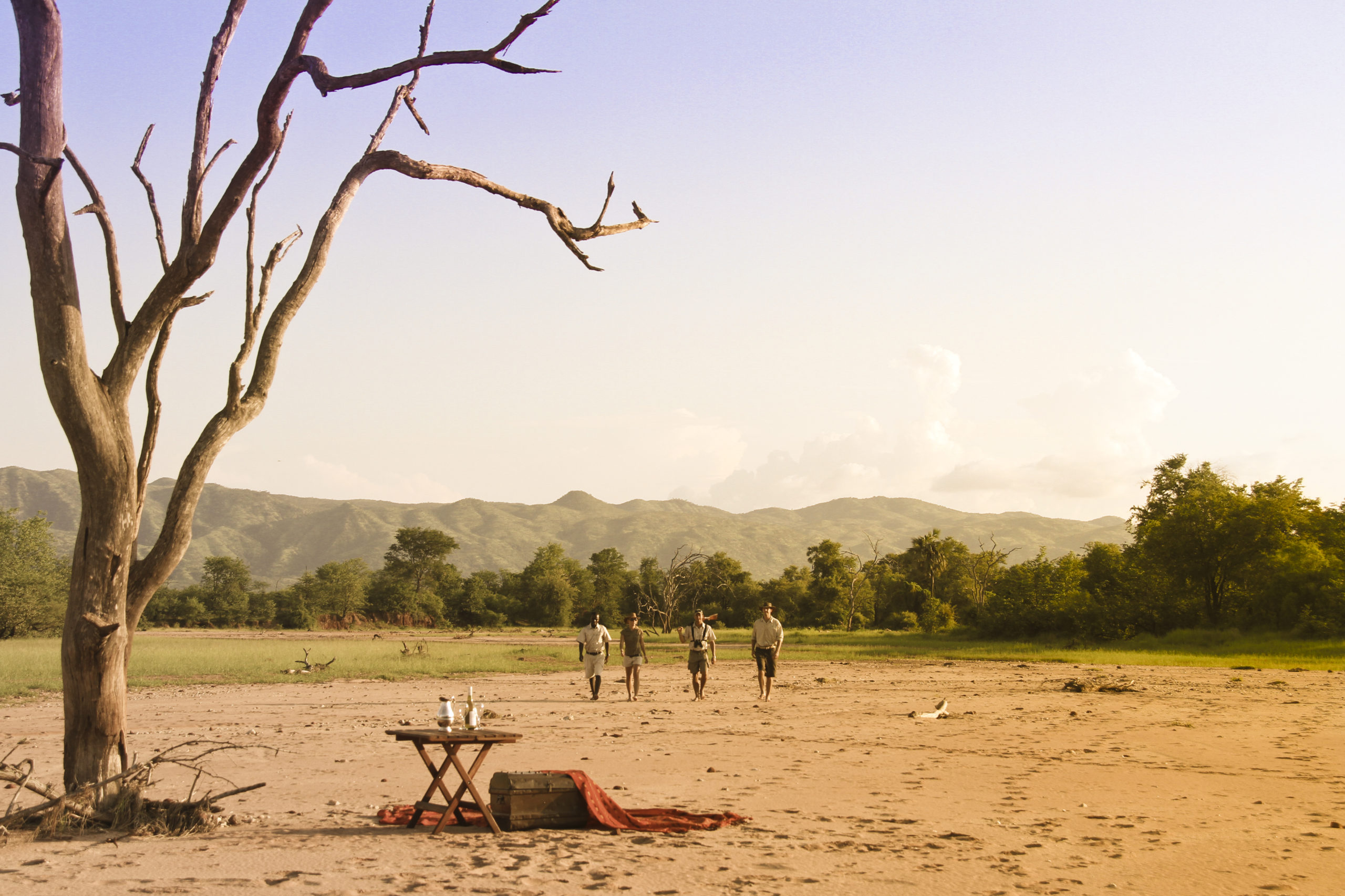 Walking safari in Kariba 