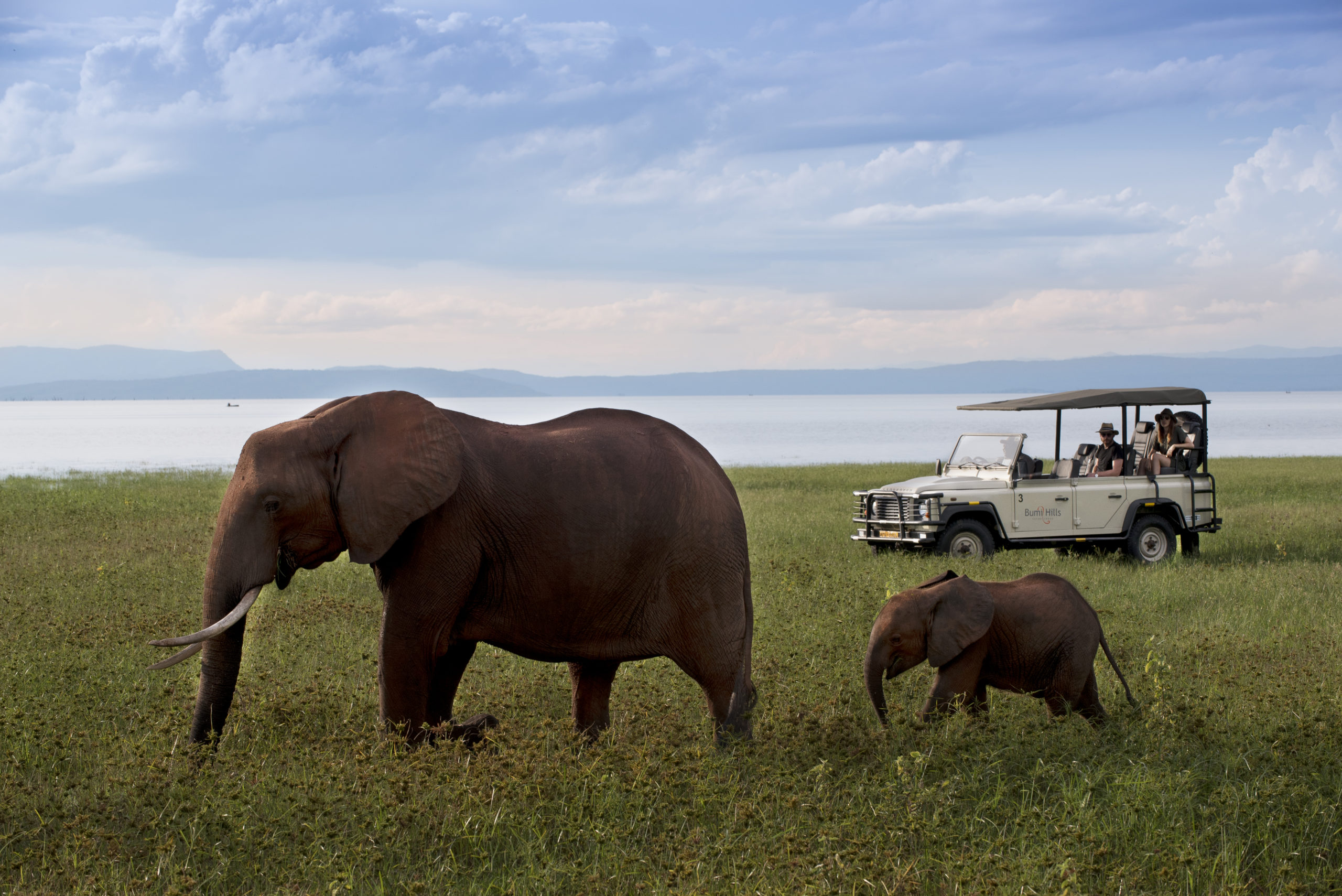 Game drive with Bumi Hills in Kariba