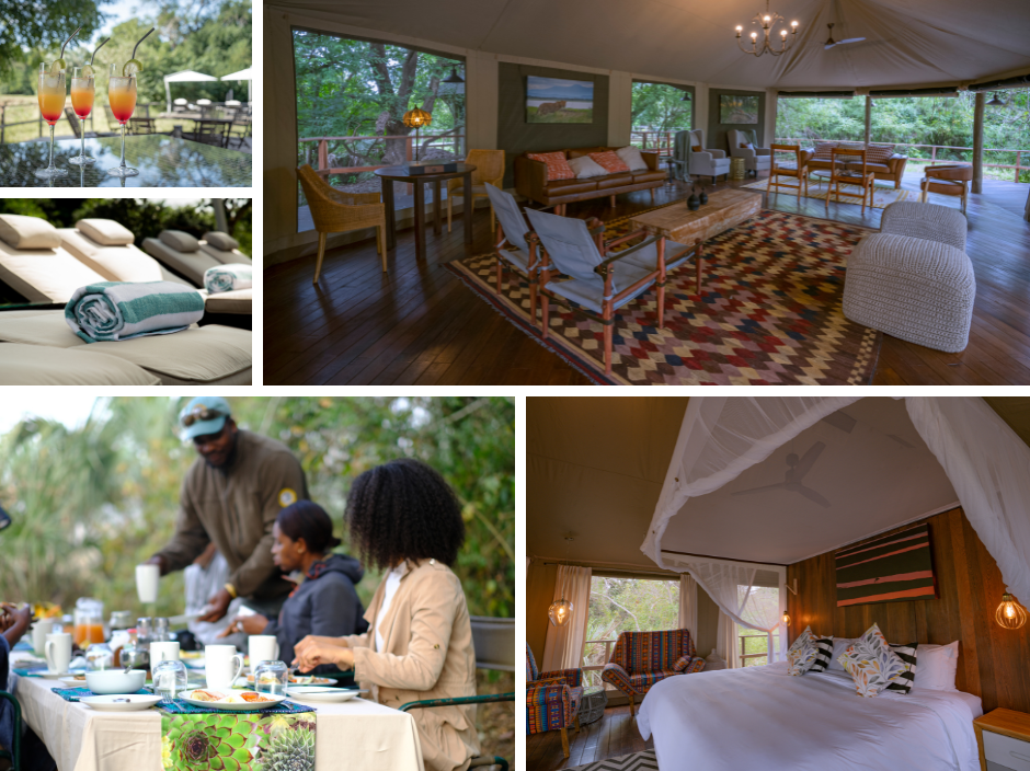 Muzimu-Lodge-and-Gorongosa-Wild-Camp-gorongosa-national-park-mozambique-collage A collage of Gorongosa Wild Camp and Muzimu Lodge
