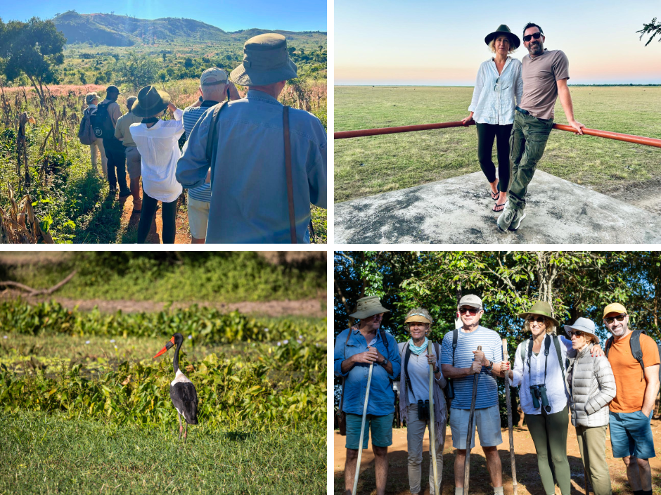 david-ryan-gorongosa-national-park-collage-1 A collage of Rhino Africa founder, David Ryan, and his friends enjoying a variety of different activities in Gorongosa National Park
