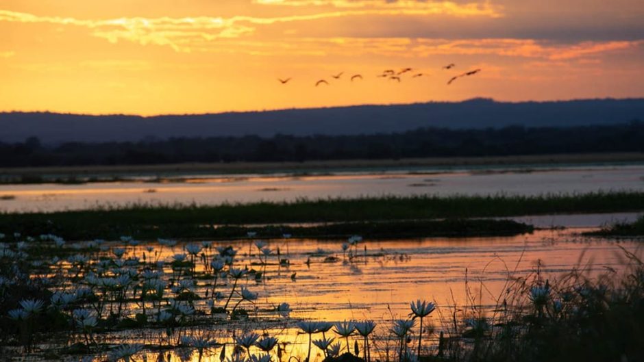 landscape-gorongosa-national-park-mozambique Sunset in Gorongosa Naitonal Park
