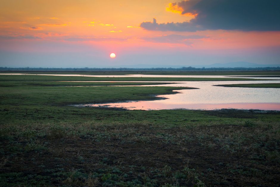 Parc National de Gorongosa : À la Découverte du Miracle Mozambicain
