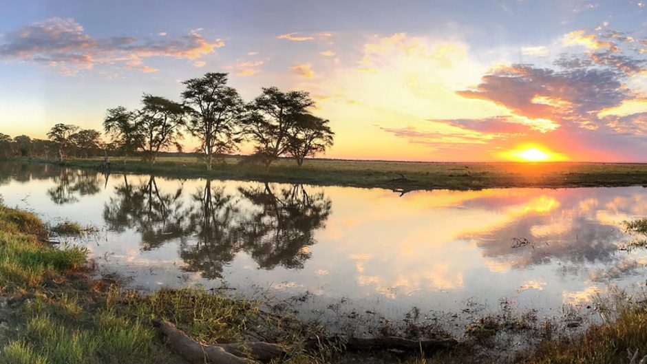 gorongosa-national-park Beautiful landscape in Gorongosa in Mozambique