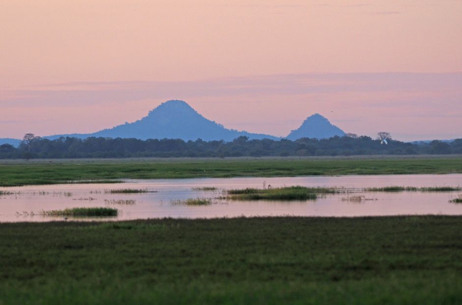 mount-gorongosa View of Mount Gorongosa