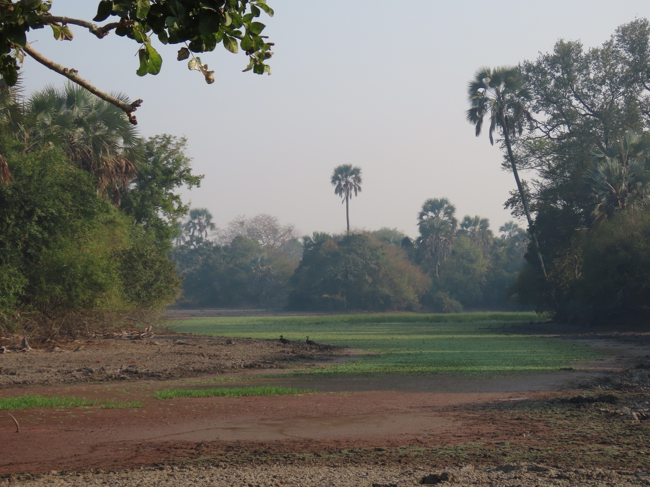 gorongosa-national-park-safari-landscapes Gorongosa National Park safari views